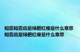 知否知否应是绿肥红瘦是什么意思 知否应是绿肥红瘦是什么意思