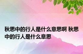 秋思中的行人是什么意思啊 秋思中的行人是什么意思