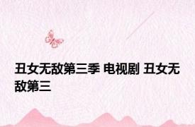 丑女无敌第三季 电视剧 丑女无敌第三 