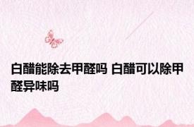 白醋能除去甲醛吗 白醋可以除甲醛异味吗