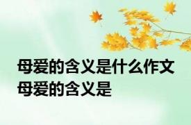 母爱的含义是什么作文 母爱的含义是