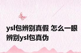 ysl包辨别真假 怎么一眼辨别ysl包真伪