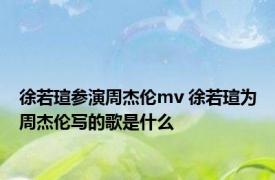 徐若瑄参演周杰伦mv 徐若瑄为周杰伦写的歌是什么