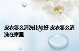 皮衣怎么清洗比较好 皮衣怎么清洗在家里