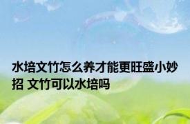水培文竹怎么养才能更旺盛小妙招 文竹可以水培吗