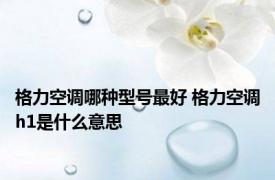 格力空调哪种型号最好 格力空调h1是什么意思