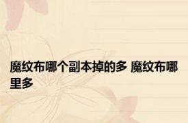 魔纹布哪个副本掉的多 魔纹布哪里多 