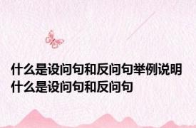 什么是设问句和反问句举例说明 什么是设问句和反问句