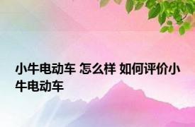 小牛电动车 怎么样 如何评价小牛电动车