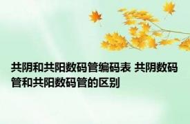 共阴和共阳数码管编码表 共阴数码管和共阳数码管的区别