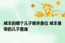 咸丰的哪个儿子继承皇位 咸丰皇帝的儿子是谁