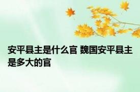 安平县主是什么官 魏国安平县主是多大的官