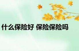 什么保险好 保险保险吗 
