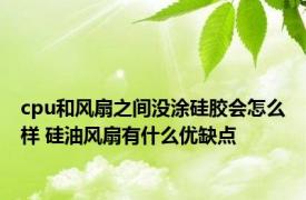 cpu和风扇之间没涂硅胶会怎么样 硅油风扇有什么优缺点