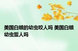 美国白蛾的幼虫咬人吗 美国白蛾幼虫蜇人吗