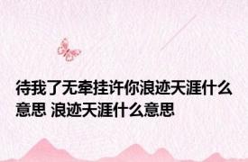 待我了无牵挂许你浪迹天涯什么意思 浪迹天涯什么意思