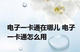 电子一卡通在哪儿 电子一卡通怎么用