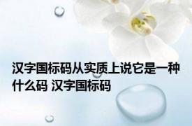 汉字国标码从实质上说它是一种什么码 汉字国标码 