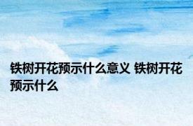铁树开花预示什么意义 铁树开花预示什么