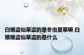 白娘盗仙草盗的是冬虫夏草嘛 白娘娘盗仙草盗的是什么