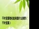 千叶宝莲有化如来是什么意思（千叶宝莲）