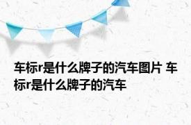 车标r是什么牌子的汽车图片 车标r是什么牌子的汽车