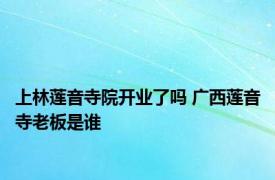 上林莲音寺院开业了吗 广西莲音寺老板是谁