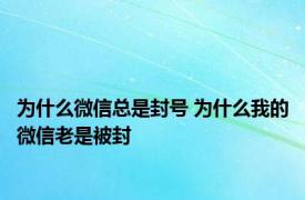 为什么微信总是封号 为什么我的微信老是被封