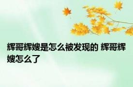 辉哥辉嫂是怎么被发现的 辉哥辉嫂怎么了