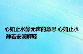 心如止水静无声的意思 心如止水 静若安澜解释