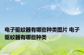 电子驱蚊器有哪些种类图片 电子驱蚊器有哪些种类