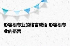 形容很专业的格言成语 形容很专业的格言