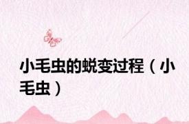 小毛虫的蜕变过程（小毛虫）