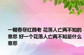 一朝春尽红颜老 花落人亡两不知的意思 好一个花落人亡两不知是什么意思