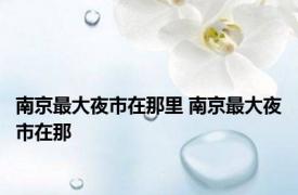 南京最大夜市在那里 南京最大夜市在那