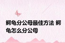 鳄龟分公母最佳方法 鳄龟怎么分公母