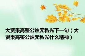 大贤秉高鉴公烛无私光下一句（大贤秉高鉴公烛无私光什么精神）