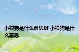 小狼狗是什么意思呀 小狼狗是什么意思