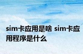 sim卡应用是啥 sim卡应用程序是什么