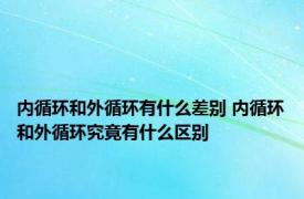 内循环和外循环有什么差别 内循环和外循环究竟有什么区别