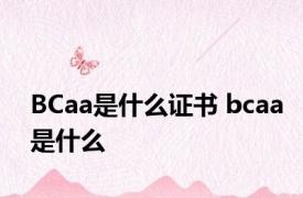 BCaa是什么证书 bcaa是什么