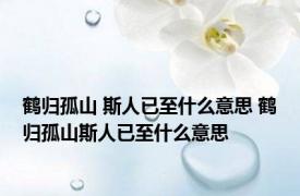 鹤归孤山 斯人已至什么意思 鹤归孤山斯人已至什么意思