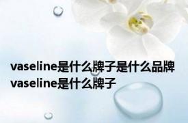 vaseline是什么牌子是什么品牌 vaseline是什么牌子