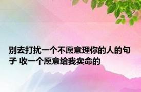 别去打扰一个不愿意理你的人的句子 收一个愿意给我卖命的 