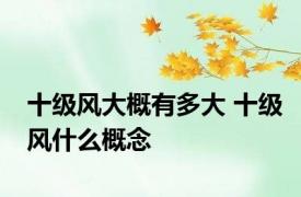 十级风大概有多大 十级风什么概念