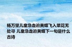 杨万里儿童急走追黄蝶飞入菜花无处寻 儿童急走追黄蝶下一句是什么古诗
