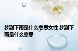 梦到下雨是什么意思女性 梦到下雨是什么意思