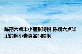 陈翔六点半小丽张诗悦 陈翔六点半里的柳小岩真名叫啥啊