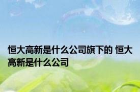恒大高新是什么公司旗下的 恒大高新是什么公司