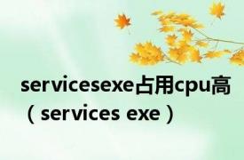 servicesexe占用cpu高（services exe）